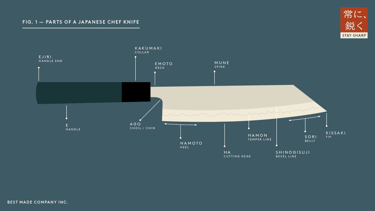 Diagram of a Japanese chef knife labeled with parts, including handle, bolster, spine, edge, tip, and cutting edge, with brief lines linking text to each knife section on a muted blue background.