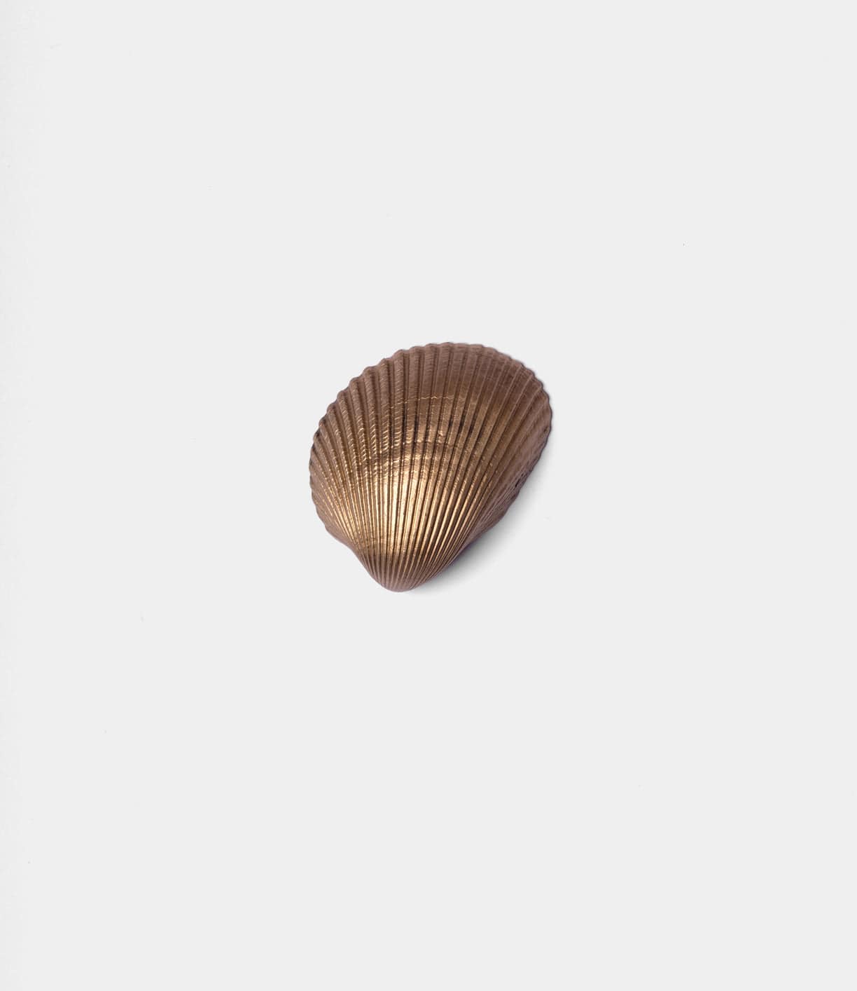 The Cockle Shell Opener by Best Made Co. is shown centered on a plain white background, featuring a brown scallop seashell design with fine ridges.