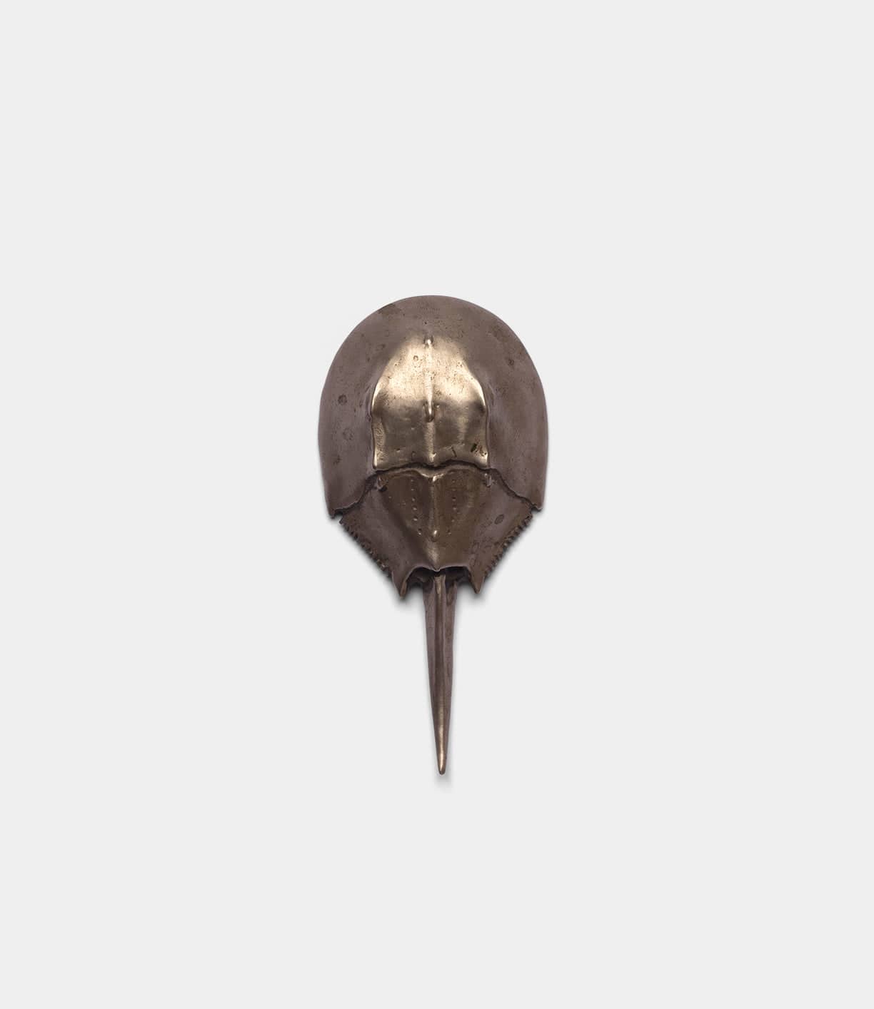 The Best Made Co. Horseshoe Crab Opener is shown against a plain white background, emphasizing its domed shell and long pointed tail in a sculptural display.