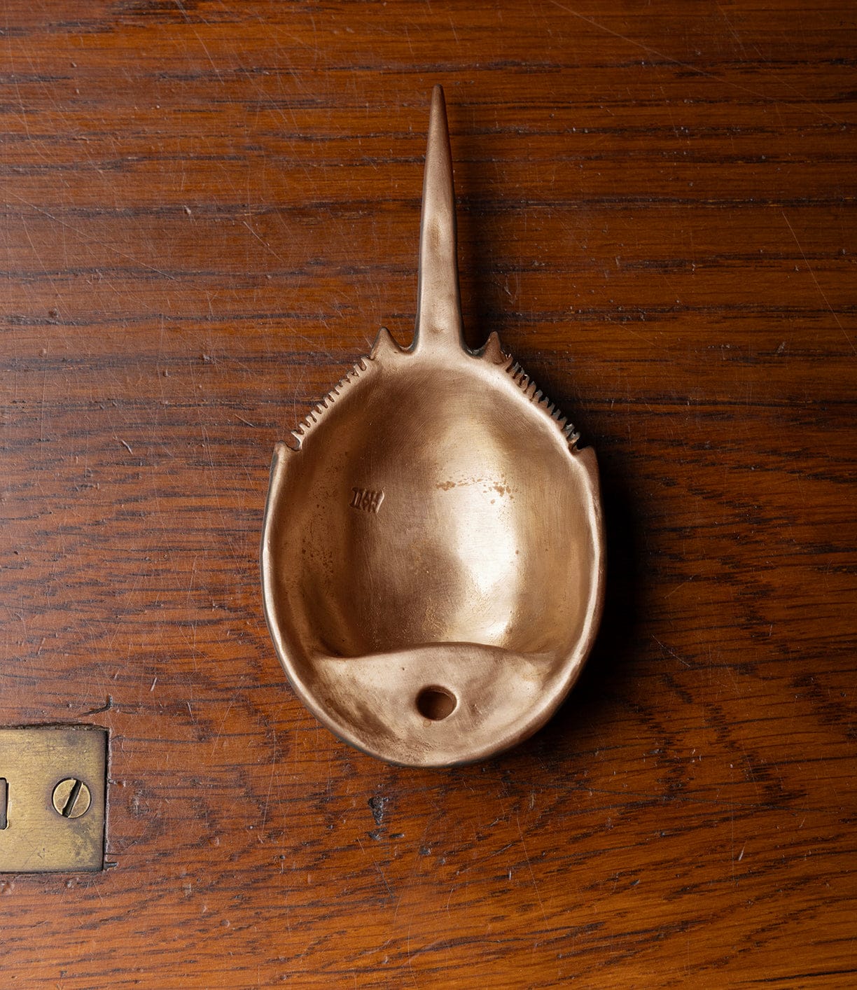 A brown Horseshoe Crab Opener by Best Made Co. with a pointed tail and bottom hole rests on wood beside a small metal plate with screws, inspiring ideas for handcrafted bronze sculptures using the lost wax casting technique.
