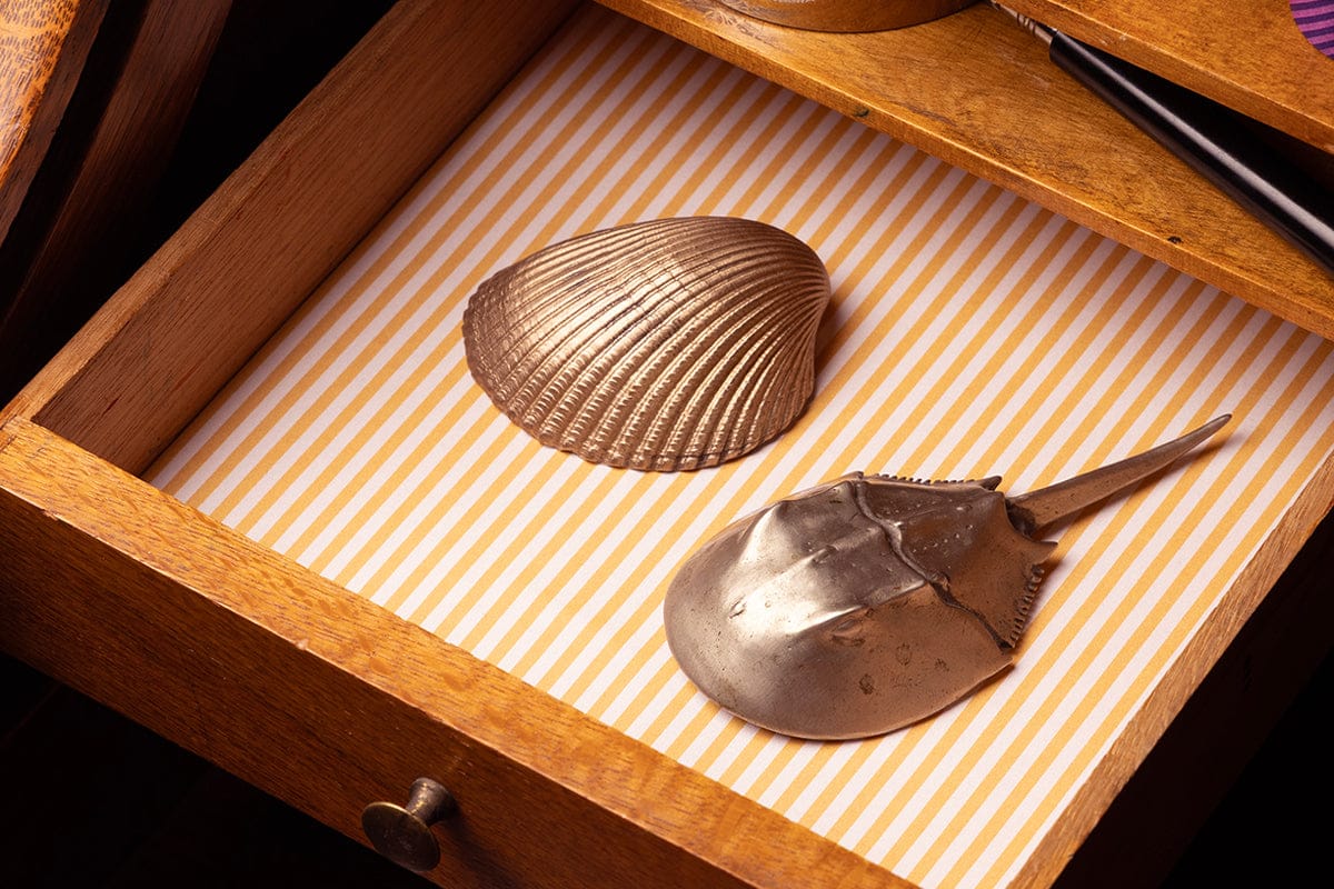 An open wooden drawer lined with yellow and white striped paper contains a metallic seashell and a metallic horseshoe crab shell.