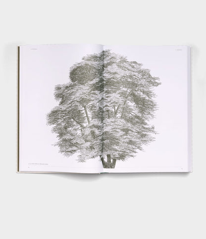 Best Made Co.'s "The Architecture of Trees" is an open book displaying a detailed black-and-white illustration of a large, leafy tree spanning both pages on a plain white background.