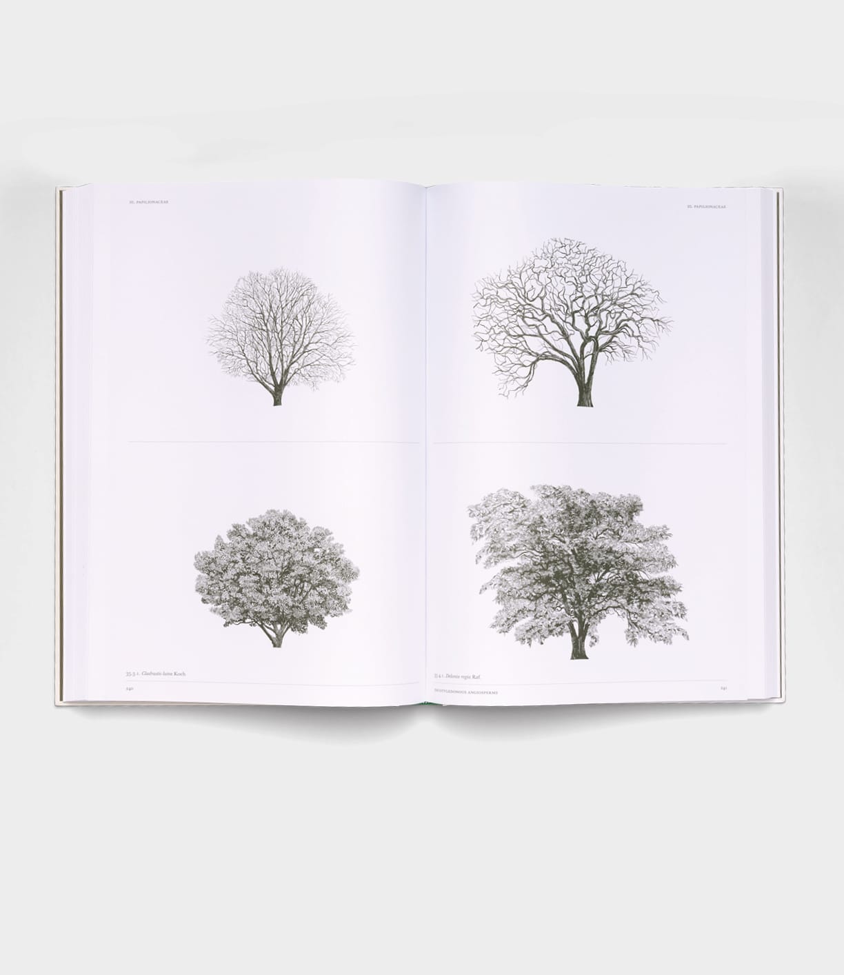 An open copy of "The Architecture of Trees" by Best Made Co. shows four black-and-white tree sketches—two bare, two with leaves—on white pages in a minimalist style.