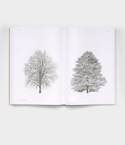 An open copy of Best Made Co.'s "The Architecture of Trees" displays two detailed black and white tree illustrations—one with bare branches, the other with dense foliage—set against a plain white background.
