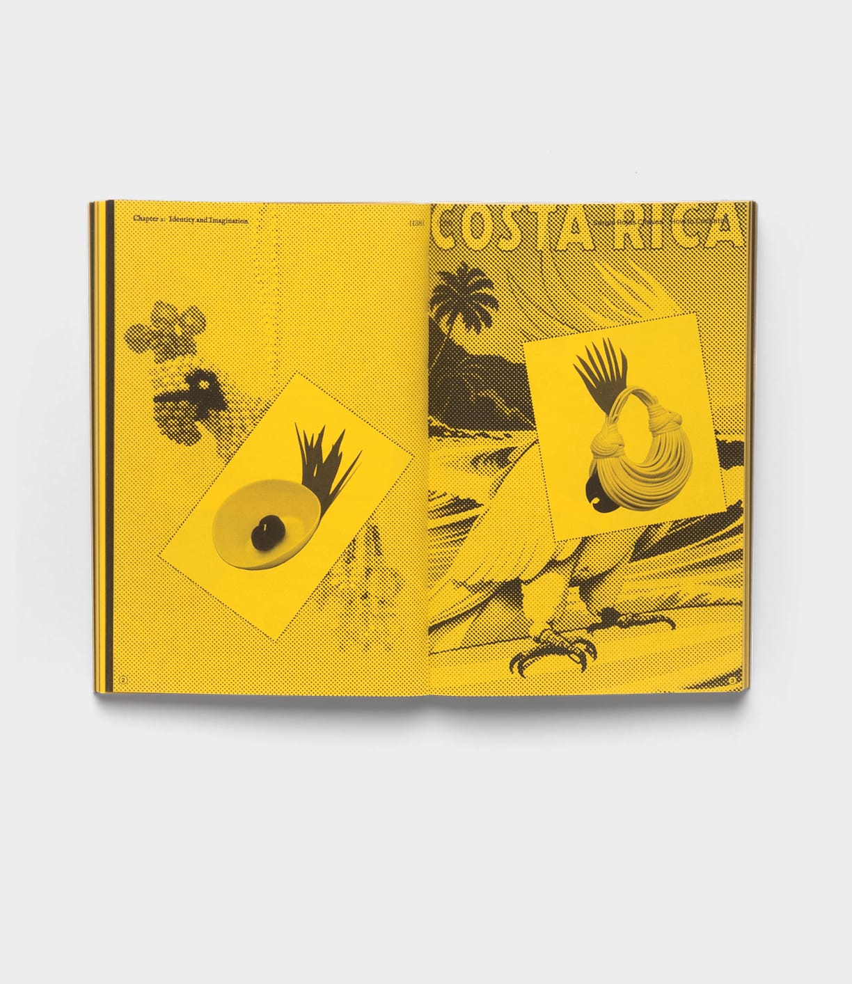 An open book titled "With a Bird" by Best Made Co. displays yellow pages with a tropical scene, featuring a parrot, palm trees, and superimposed avocado and seashell images over the parrot's head and wing.